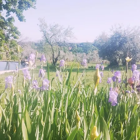 Il Poderino Apartamento *