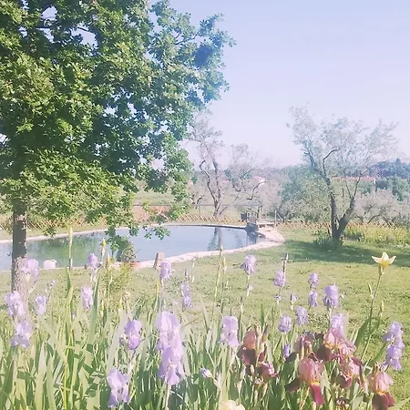 Il Poderino Διαμέρισμα Bibbona