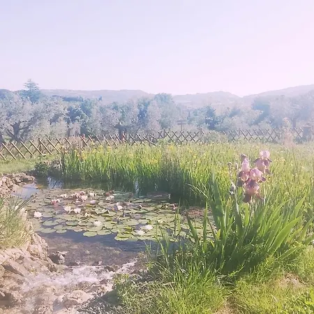 Il Poderino * Bibbona