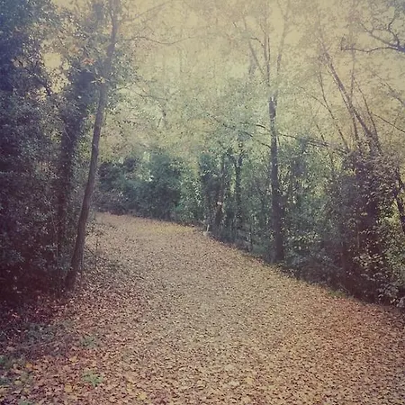 Apartamento Il Poderino Bibbona