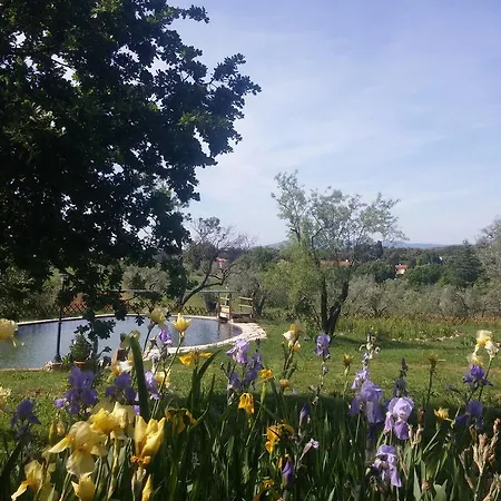 Apartamento Il Poderino