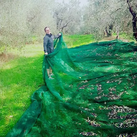 Διαμέρισμα Il Poderino *