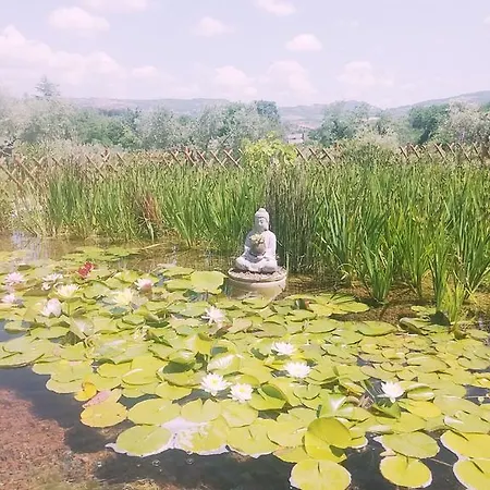 Il Poderino * Bibbona