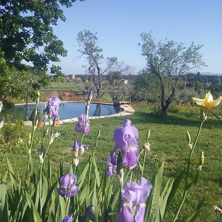 Il Poderino Διαμέρισμα Bibbona