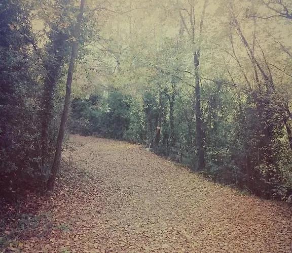 아파트 Il Poderino 비보나