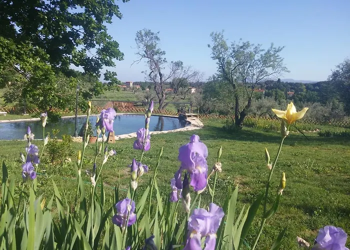 Il Poderino 아파트 비보나